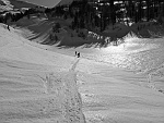 bscarp17 015m